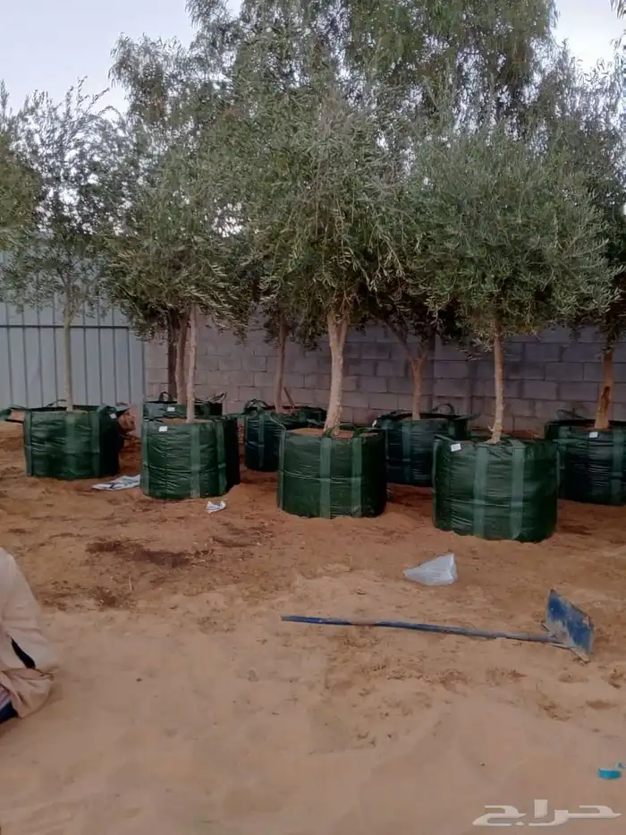 تسوير المزارع والأراضي 8