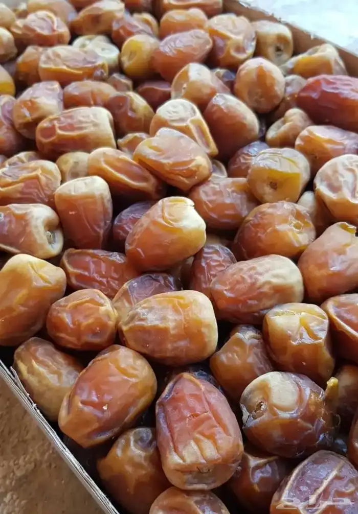 تمر سكري مفتل وجلكسي توصيل للرياض مجاني 2
