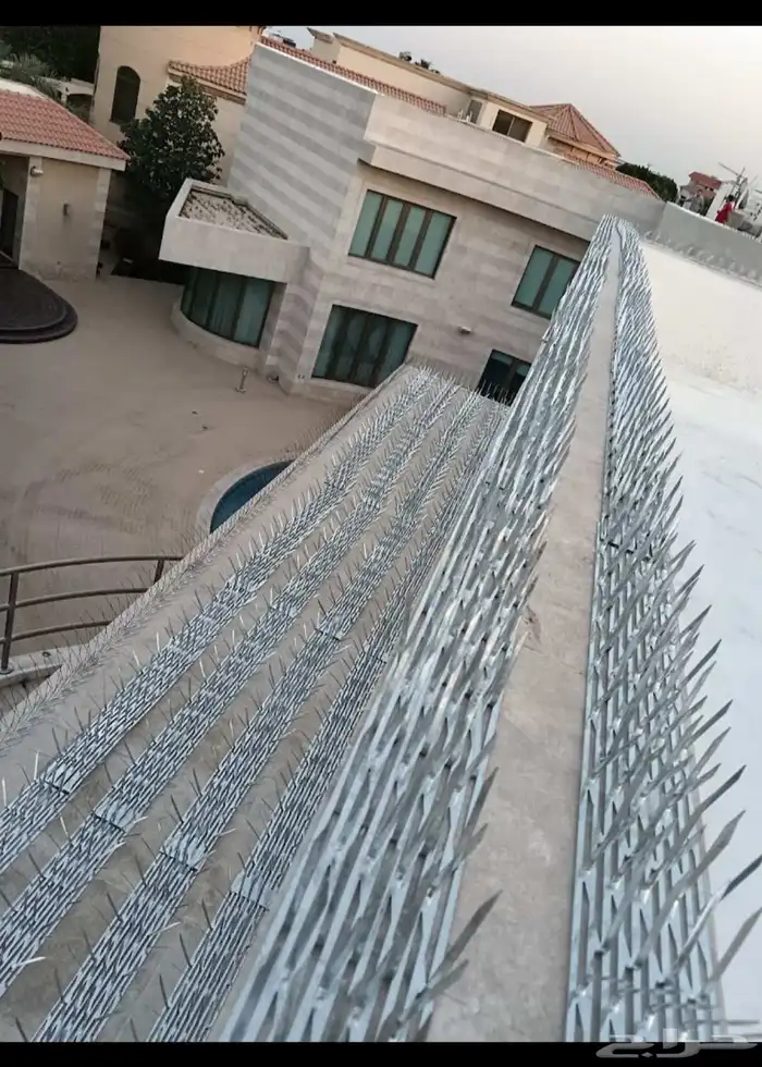 شركة تنظيف بالدمام 6