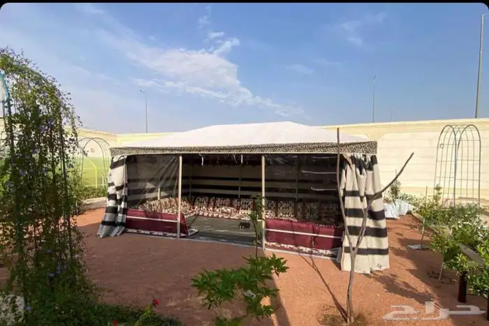 بيوت شعر ملكيه المطوره 1