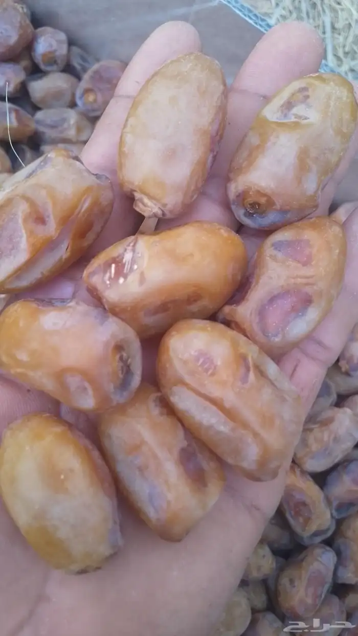 اخلاص طيب حق هذا العام 1