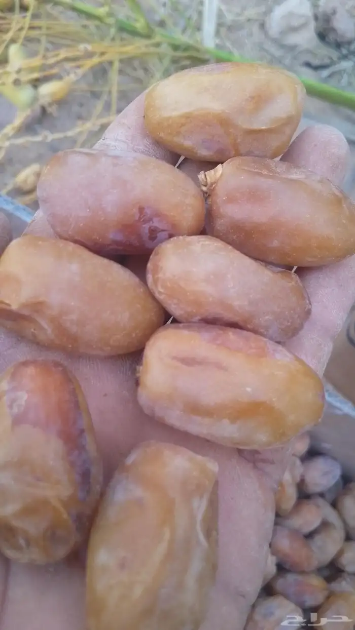 اخلاص طيب حق هذا العام 0