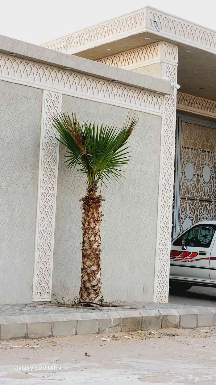 بديل الحجر لياسه ملونه تصميم الحجر 2