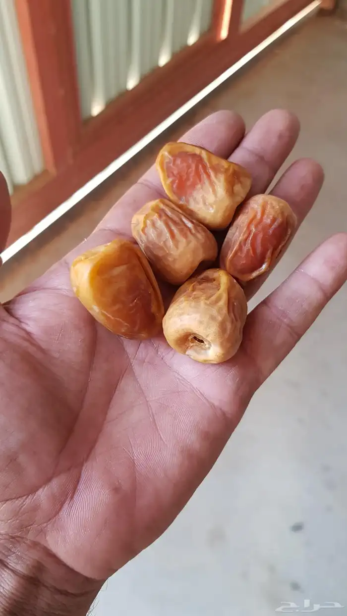 تمر سكري مفتل وجلكسي توصيل للرياض مجاني 4