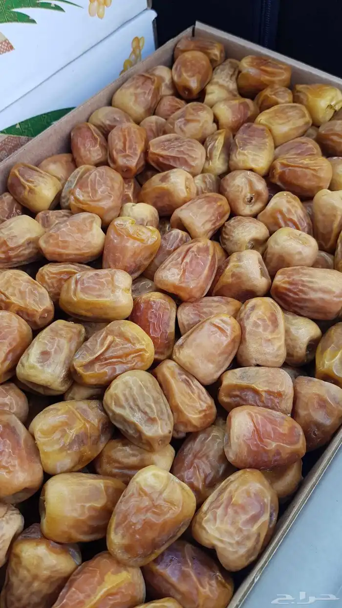 تمر سكري مفتل وجلكسي توصيل للرياض مجاني 1