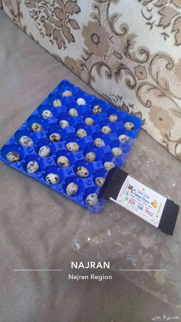 بيض سمان طازج 1