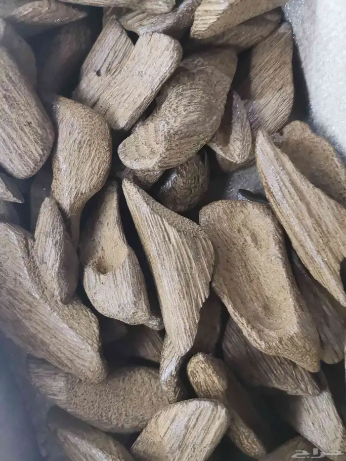 عود الموروكي فاخر محسن مناسب للمناسبات والمساجد والمكاتب 4