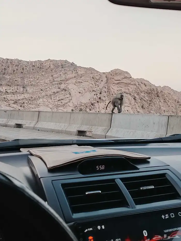 تويوتا كامري 5