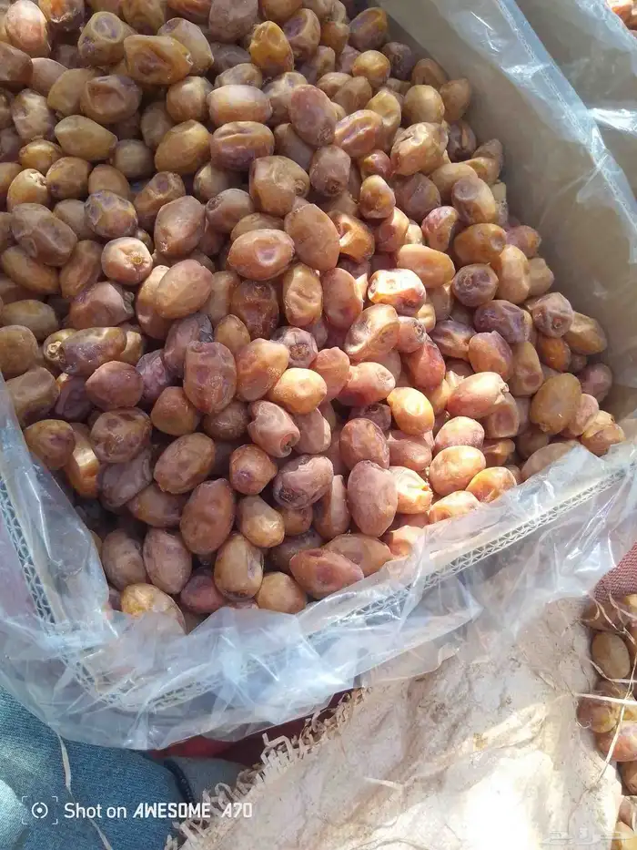 عندنا اتمر الفخر اليوم 1