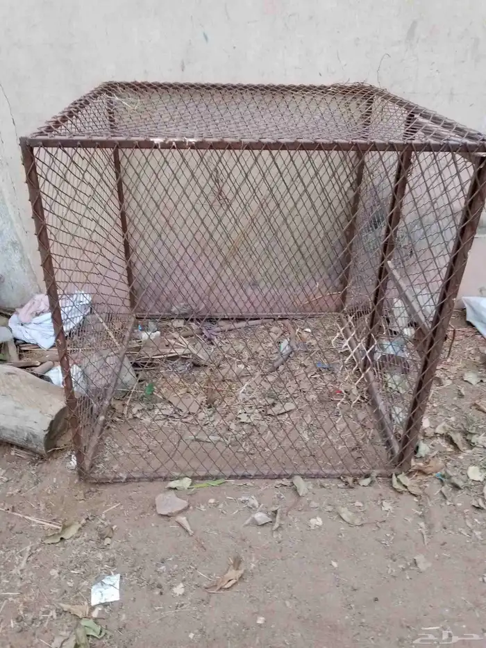 شبك دجاج 1