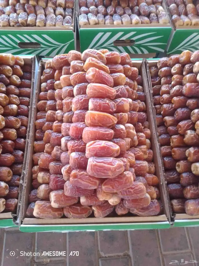 تمر سكري بانواعه 0