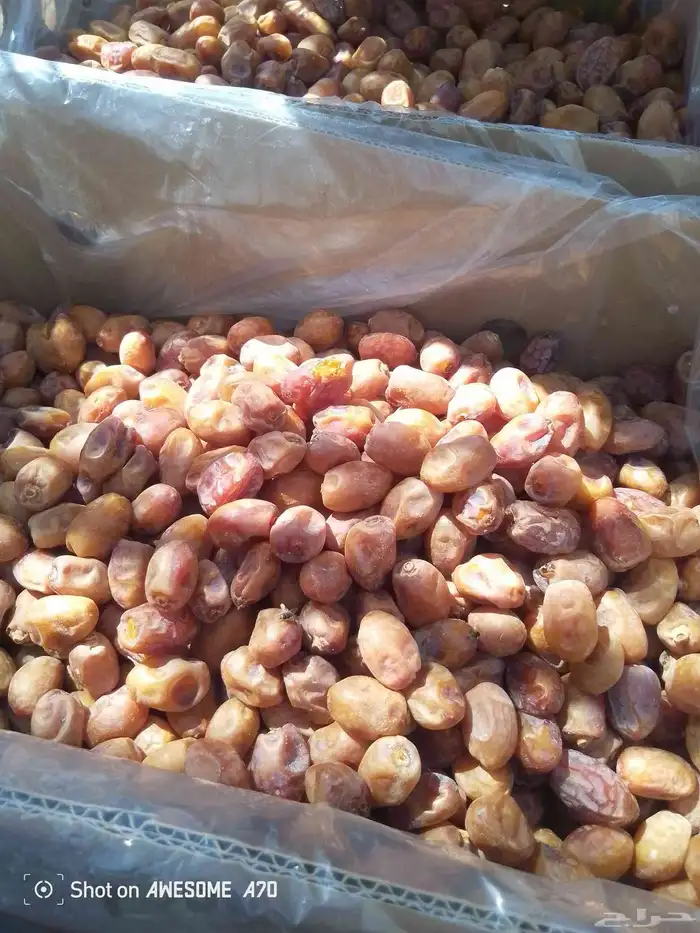 عندنا اتمر الفخر اليوم 2