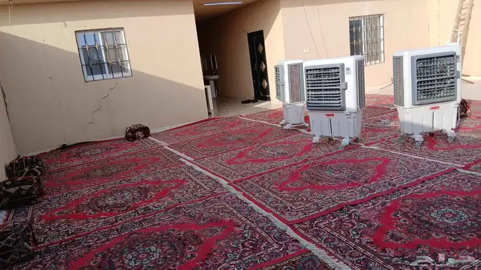 قهوجي وصبابين 2