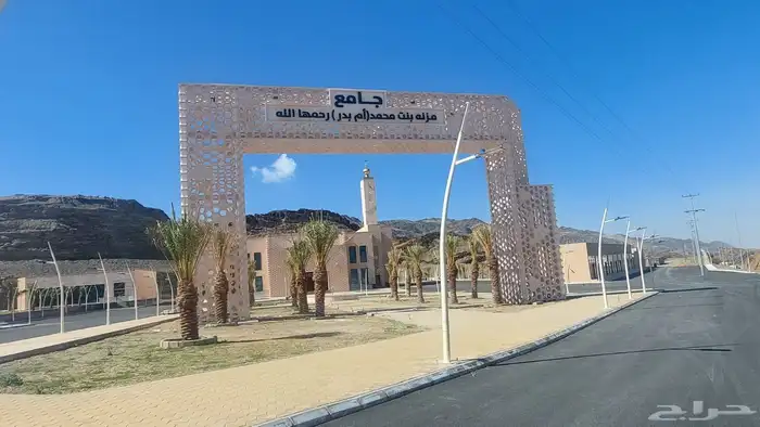 ديكورات اسمنتيه 2