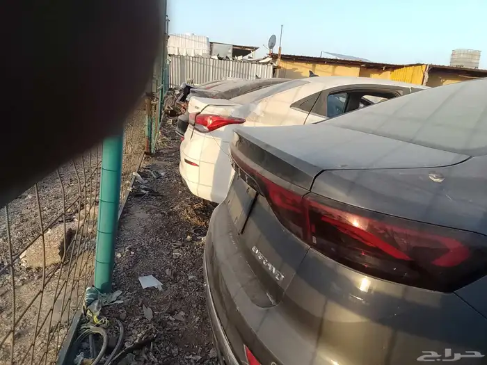 شيري اريزوا فايف 0