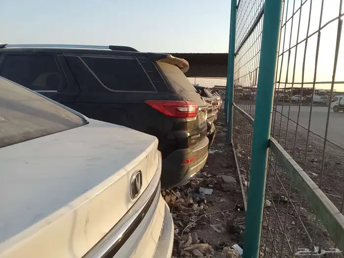 شيري اريزوا فايف 1