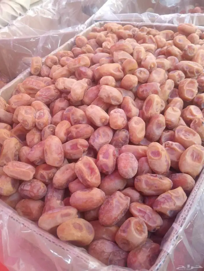 تمور اخلاص فاخره للبيع 1