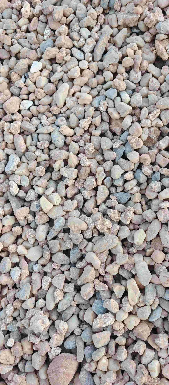 دفان عماير رمل سدير وحولها 6