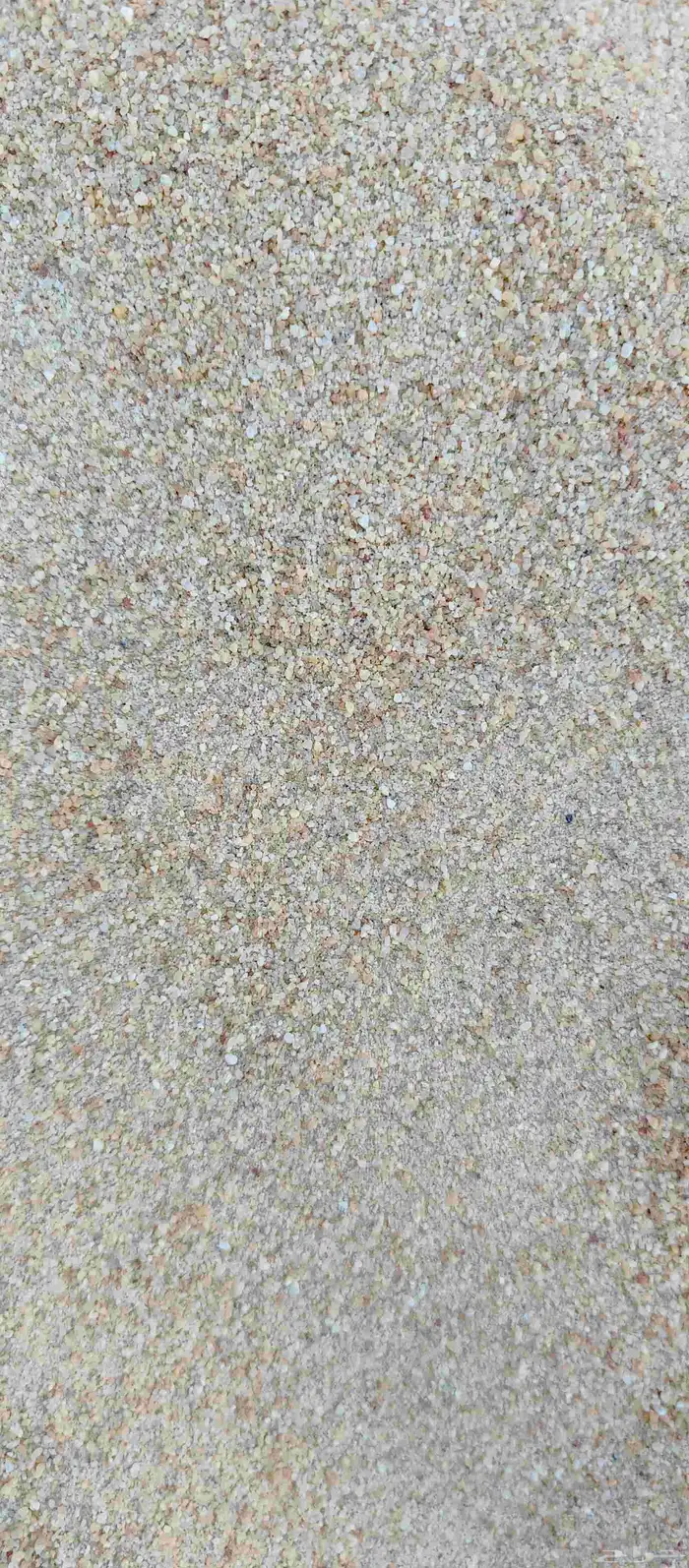 دفان عماير رمل سدير وحولها 2