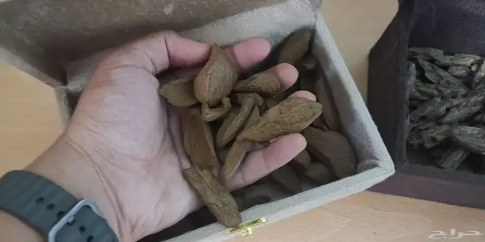 عود الموروكي فاخر محسن مناسب للمناسبات والمساجد والمكاتب 0