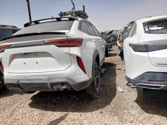 شنجان ايدو 2025 8