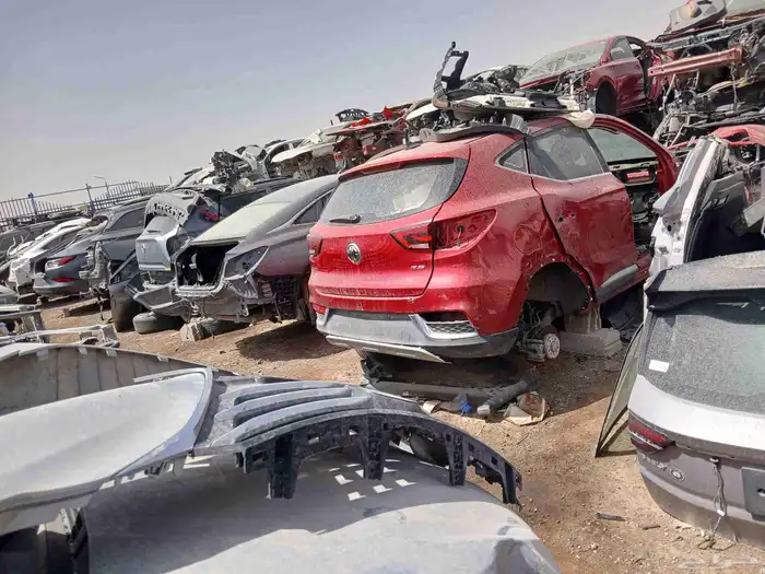 شنجان ايدو 2025 3