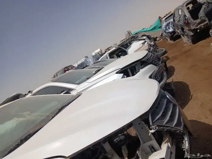 شنجان ايدو 2025 2