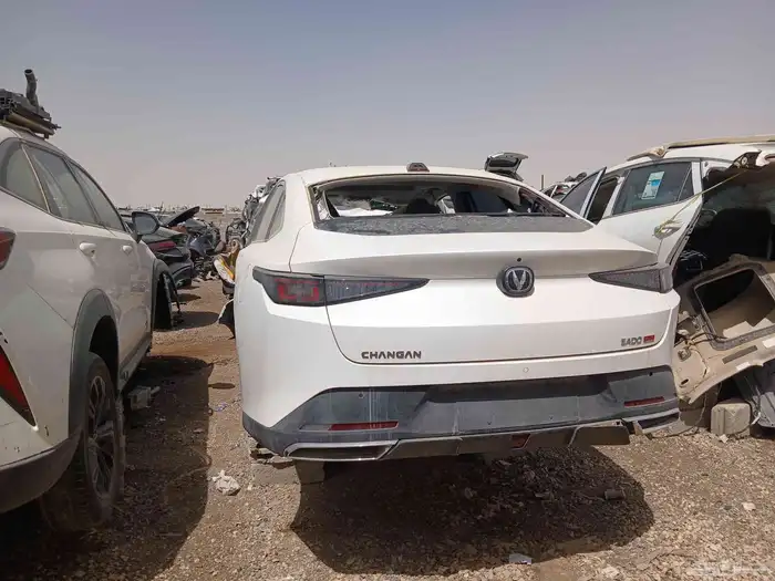 شنجان ايدو 2025 9