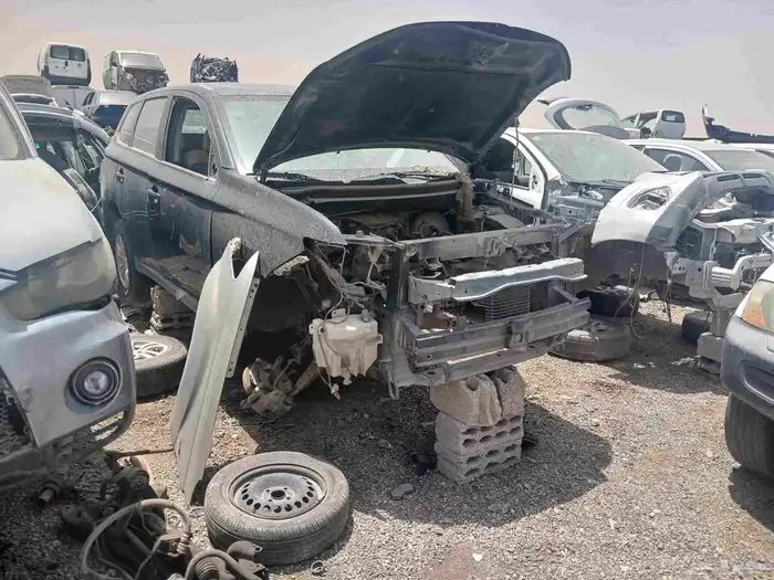 شنجان ايدو 2025 1