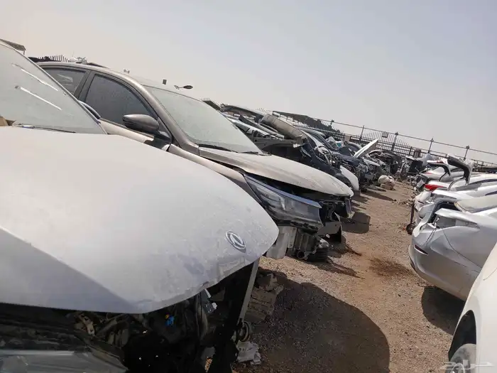 شنجان ايدو 2025 6