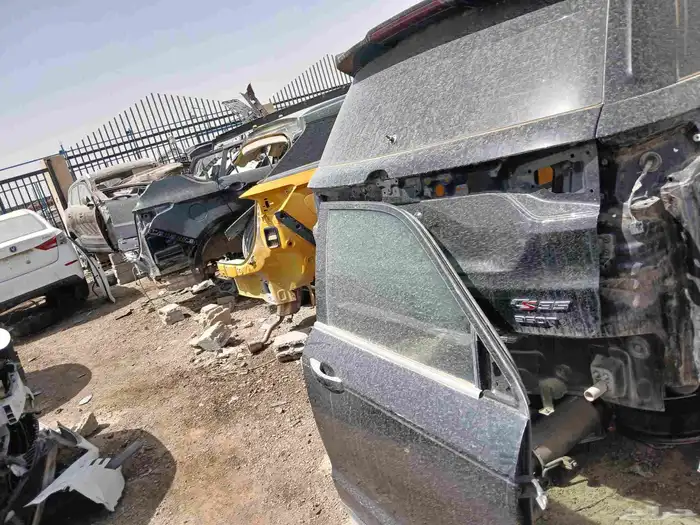 شنجان ايدو 2025 5