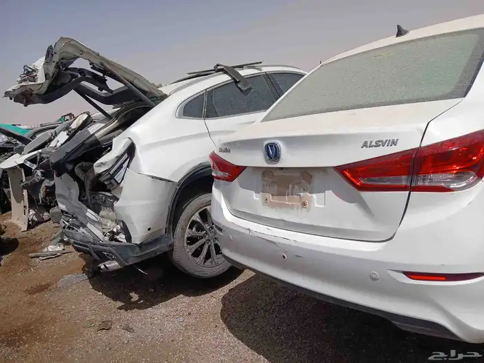 شنجان ايدو 2025 4