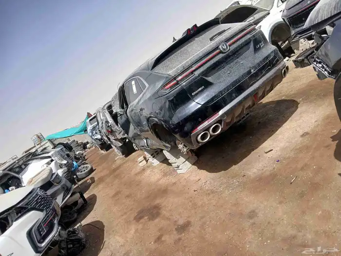 شنجان ايدو 2025 0