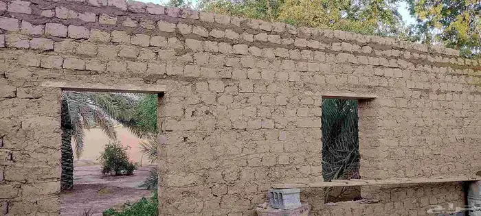 ابو مراد لا جميع انواع التراث 9