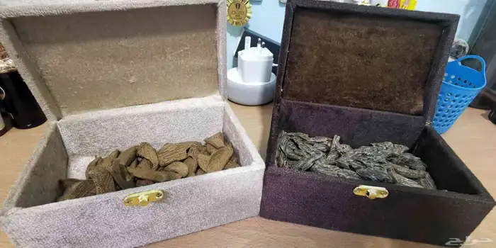 عود الموروكي فاخر محسن مناسب للمناسبات والمساجد والمكاتب 1