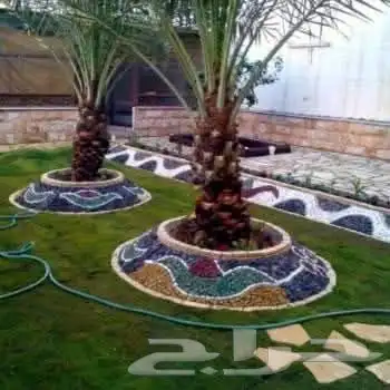 مشتل زراعي 20