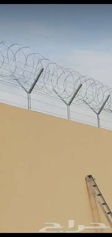 توريد جميع أنواع النخيل توصيل جميع انحا المملكه 4