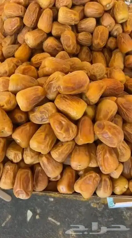 يتوفر نقل تمور من القصيم الى المدينة وحائل 1