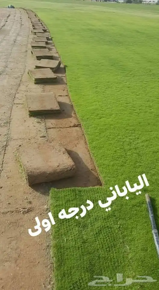 تركيب الثيل الطبيعي بالرياض 3