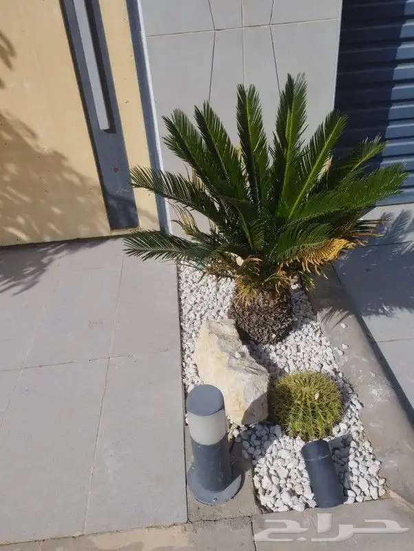 تنسيق حدائق زراعية الرياض حي الملقا والاحياء المجاوره 1