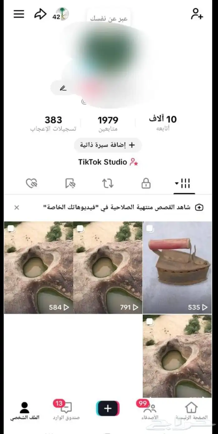 حسابات تيك توك عربيه 0