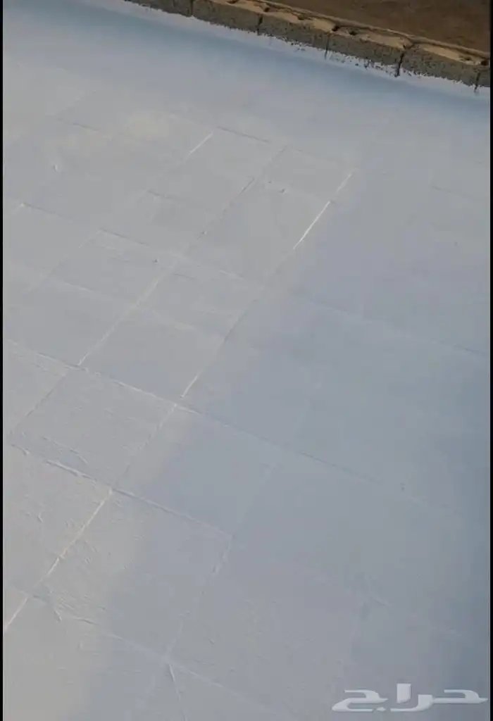 دهانات وديكورات وعاوزل وابكسي 0