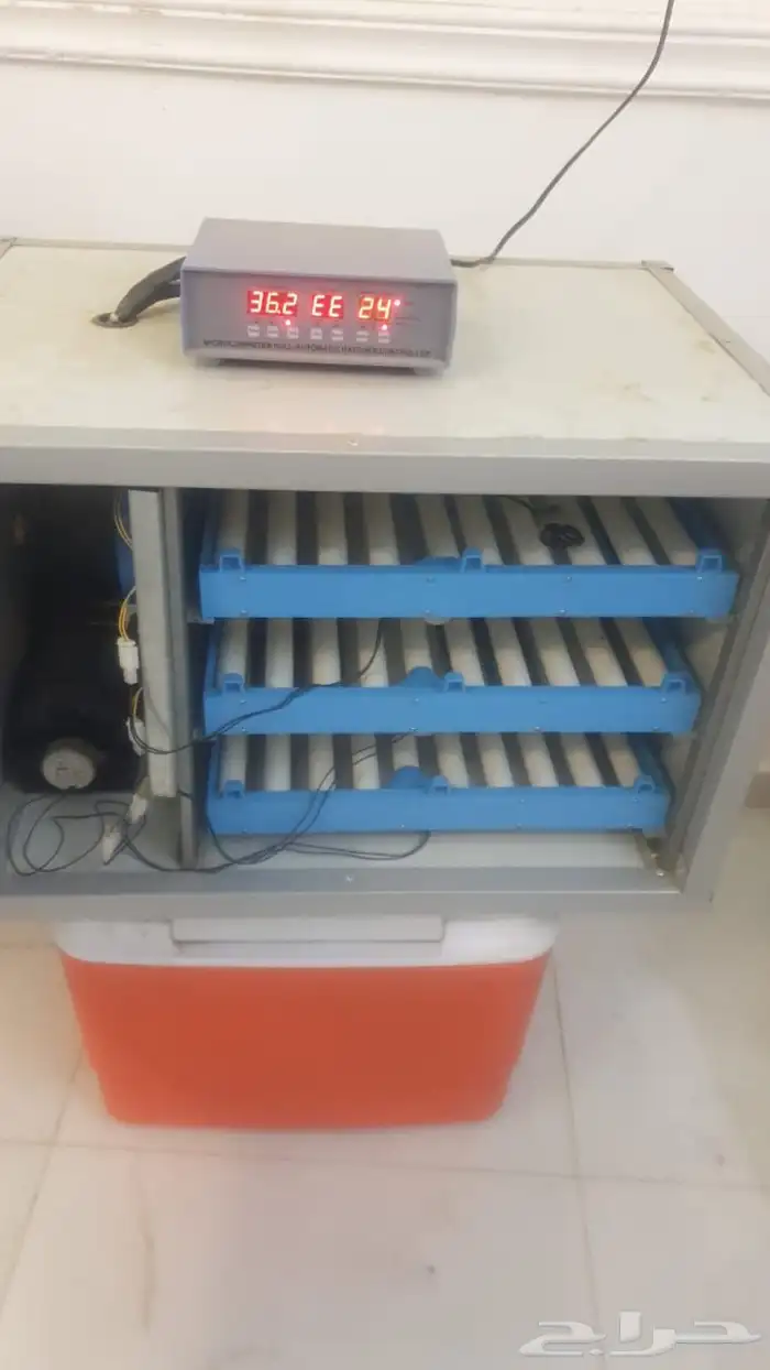 فقاسة 0