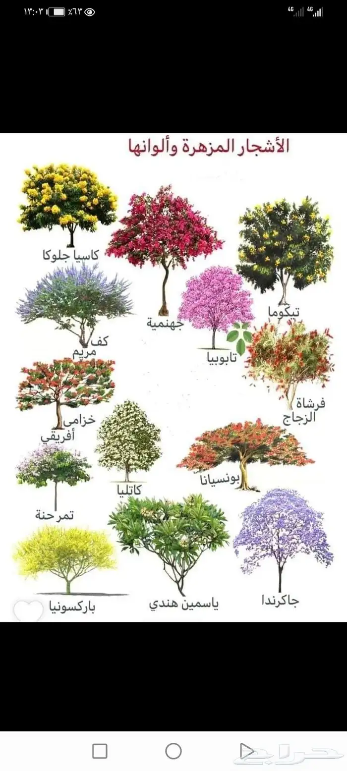 مشتل زراعي 14
