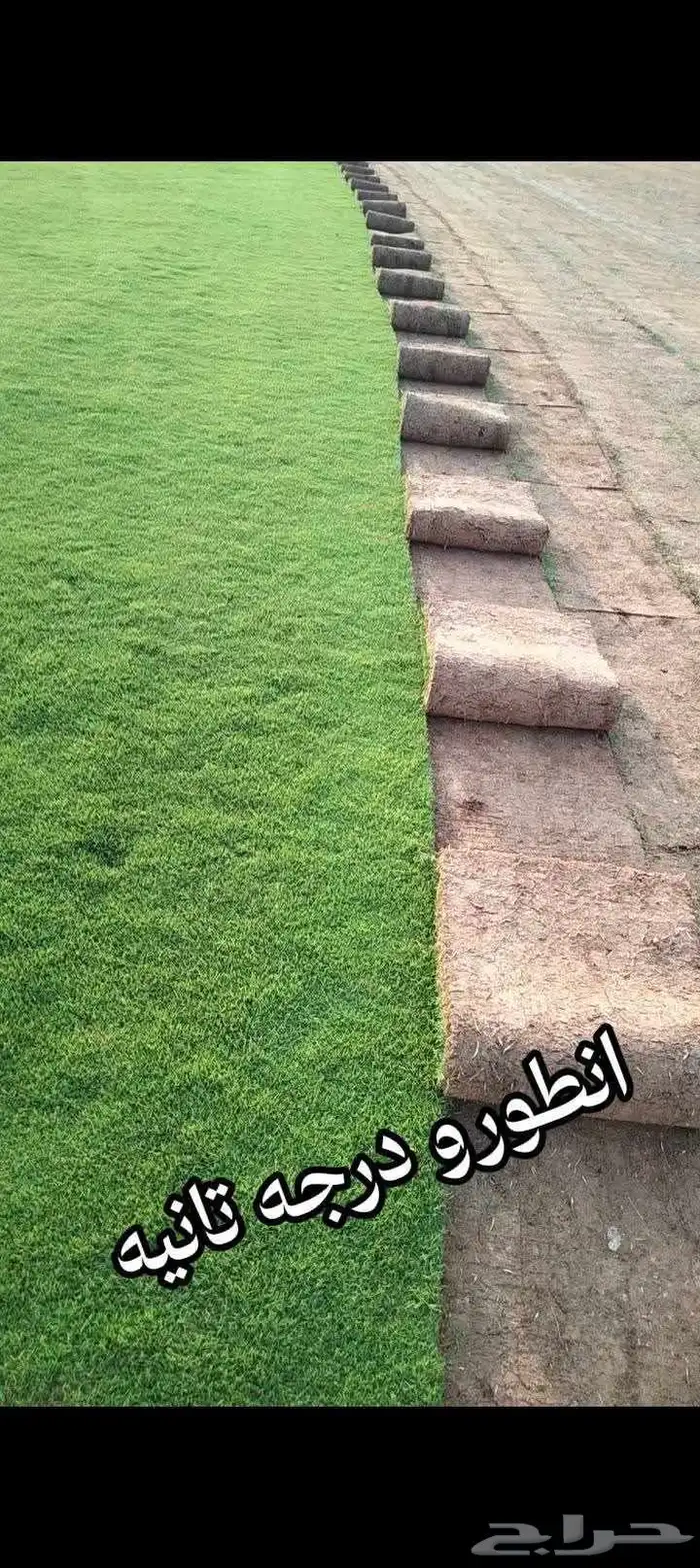 تركيب الثيل الطبيعي بالرياض 4