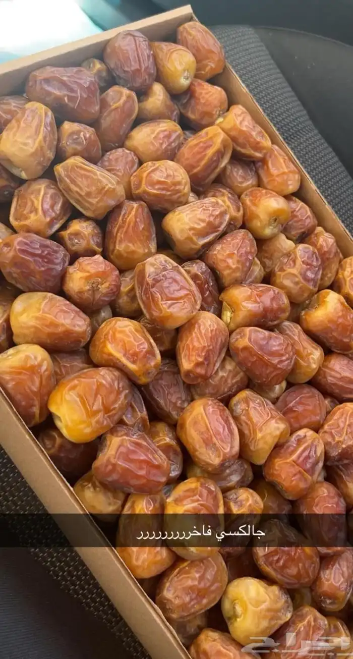 تمر تمور القصيم 0