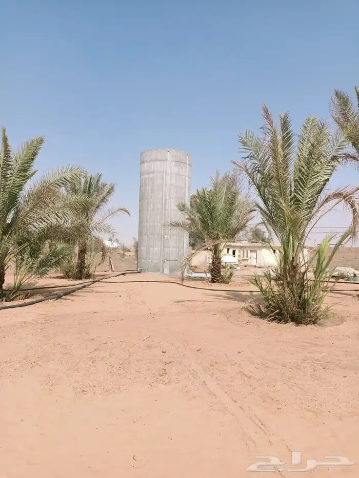 حزان دائرية الشكل 8
