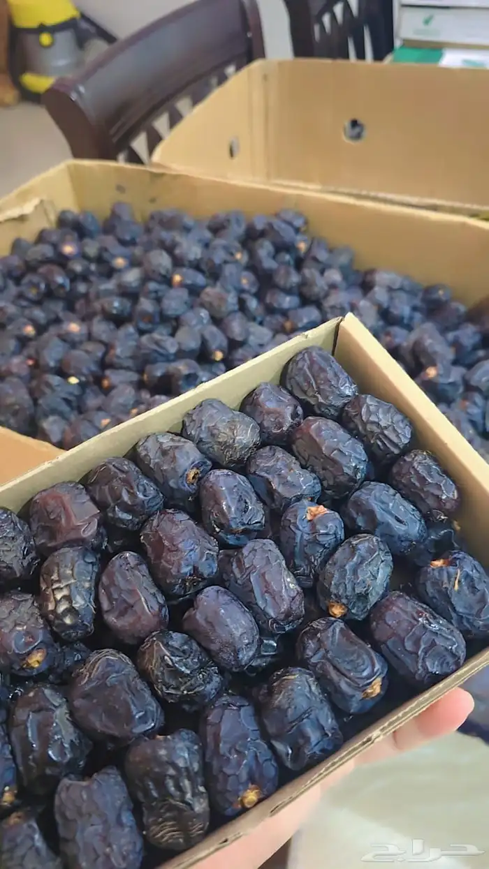 تمر عجوة المدينه 0