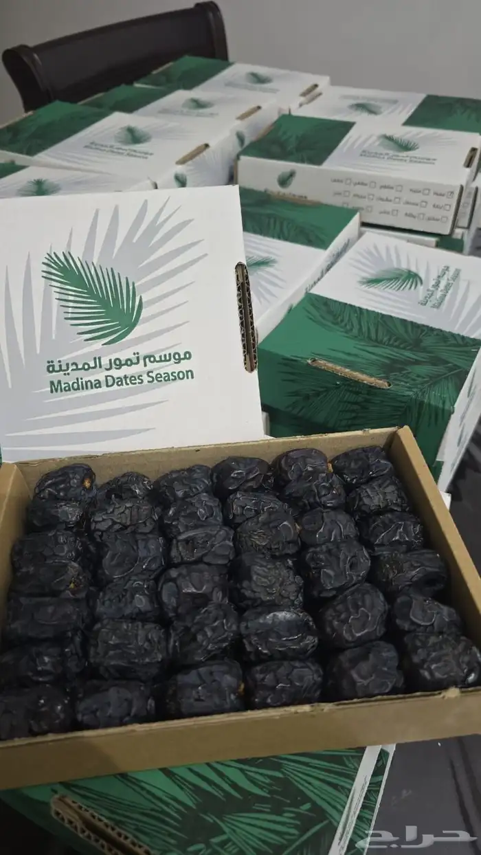 تمر عجوة المدينه 1