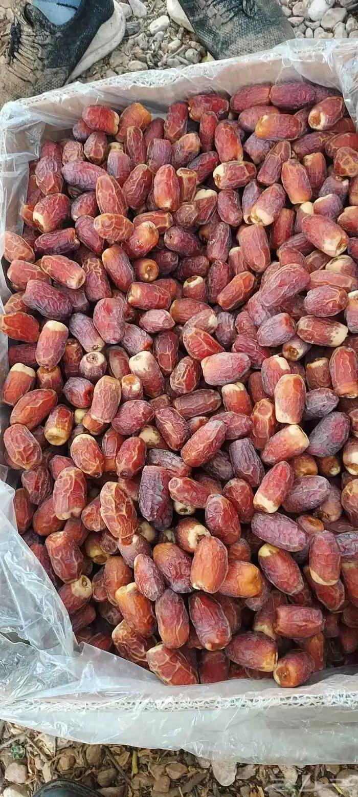 يوجد صقعي مبروم 12كرتون موز 1